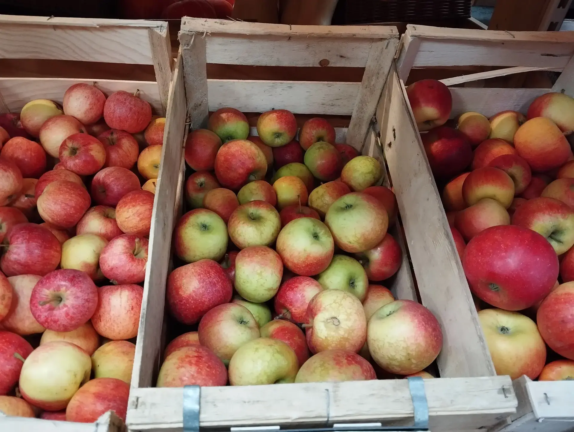 Photo Biocoop La Sangueze